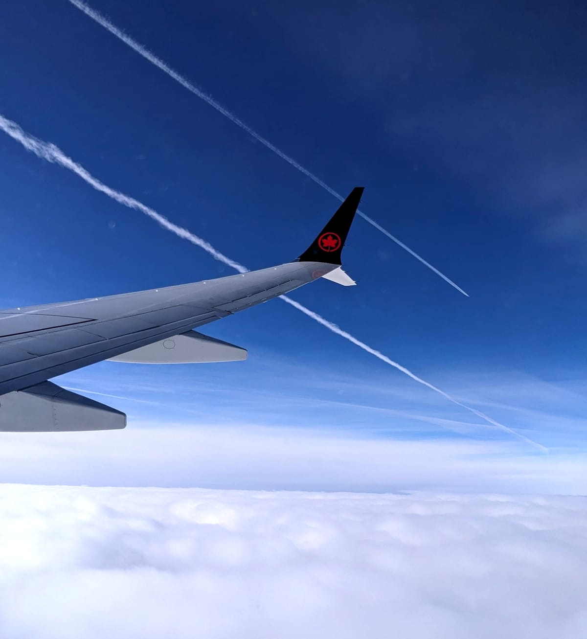 January 22, 2024 - Arrival Day