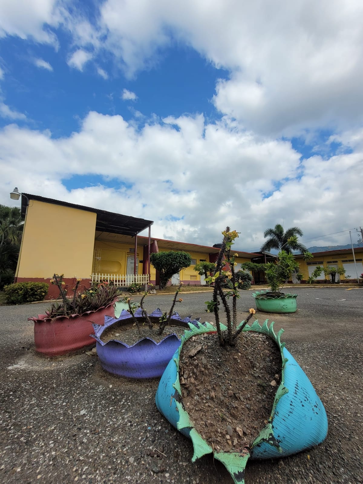 February 10, 2024 - Week 3