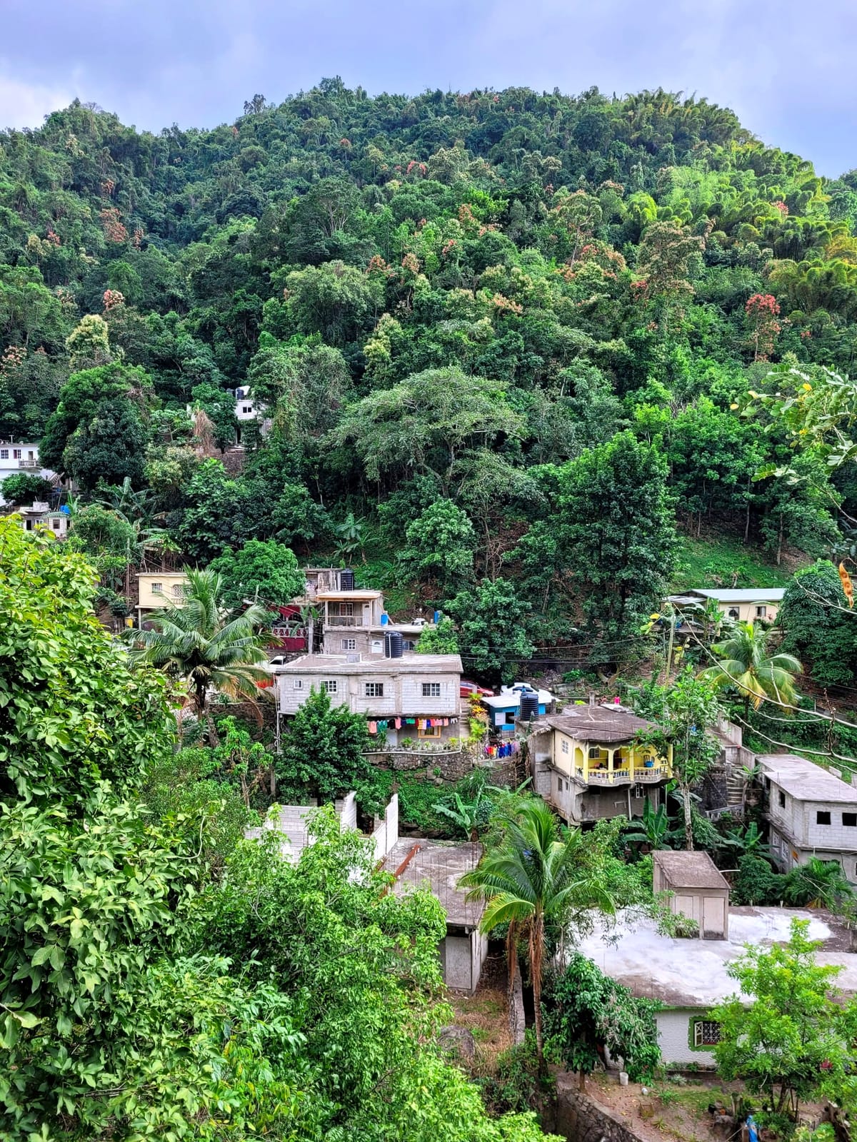 February 17, 2024 - Week 4