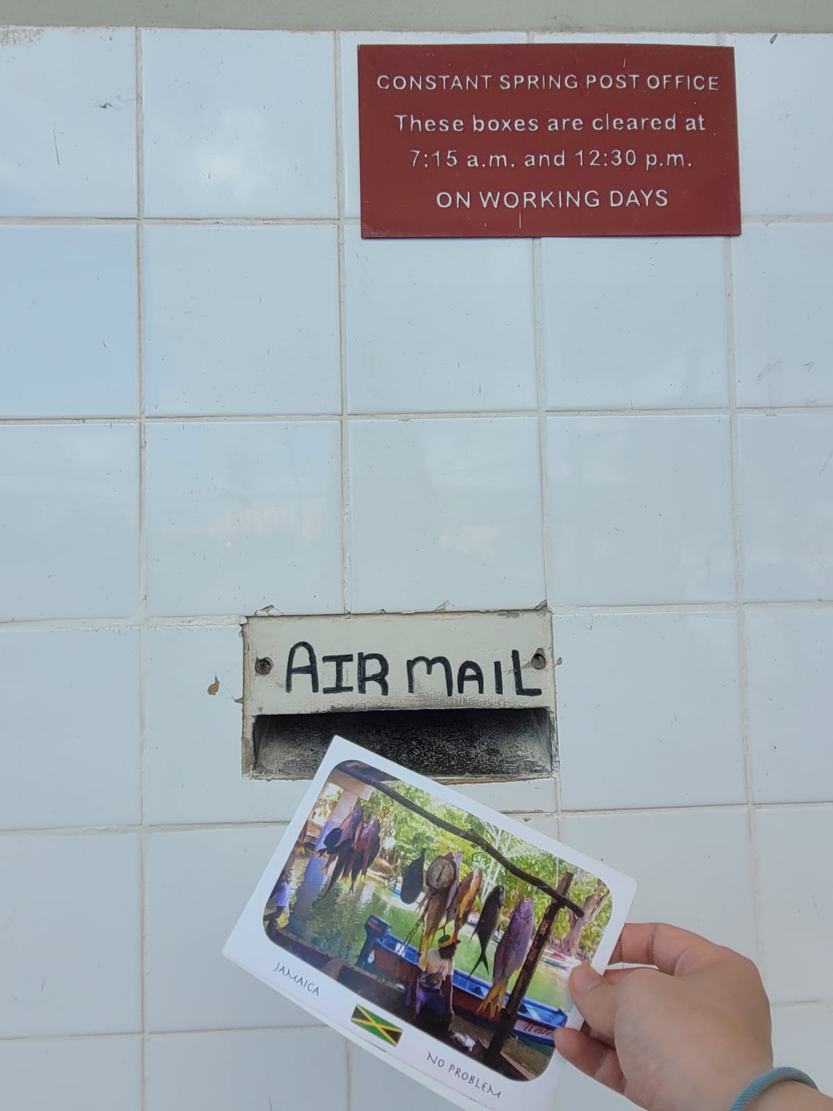 March 9, 2024 - Week 7