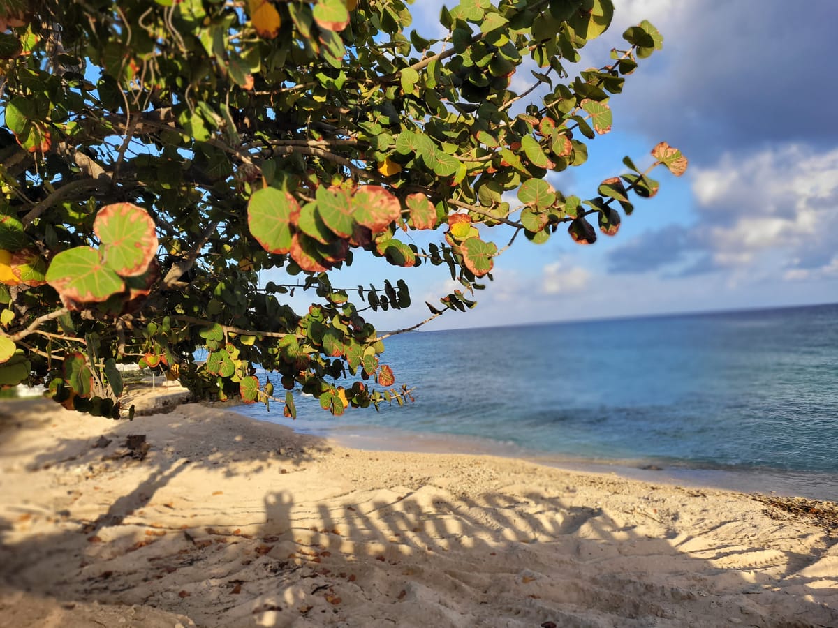 March 28, 2024 - Week 9.5