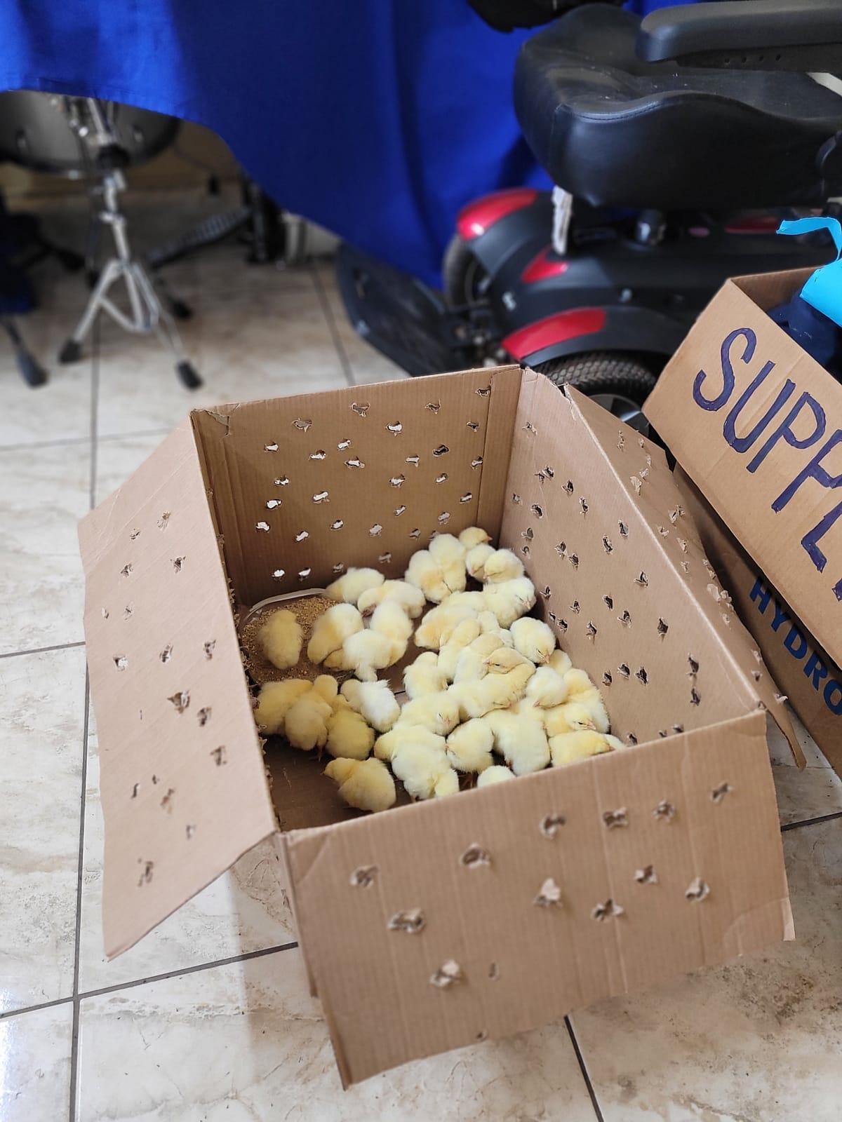 April 1, 2024 - Week 10