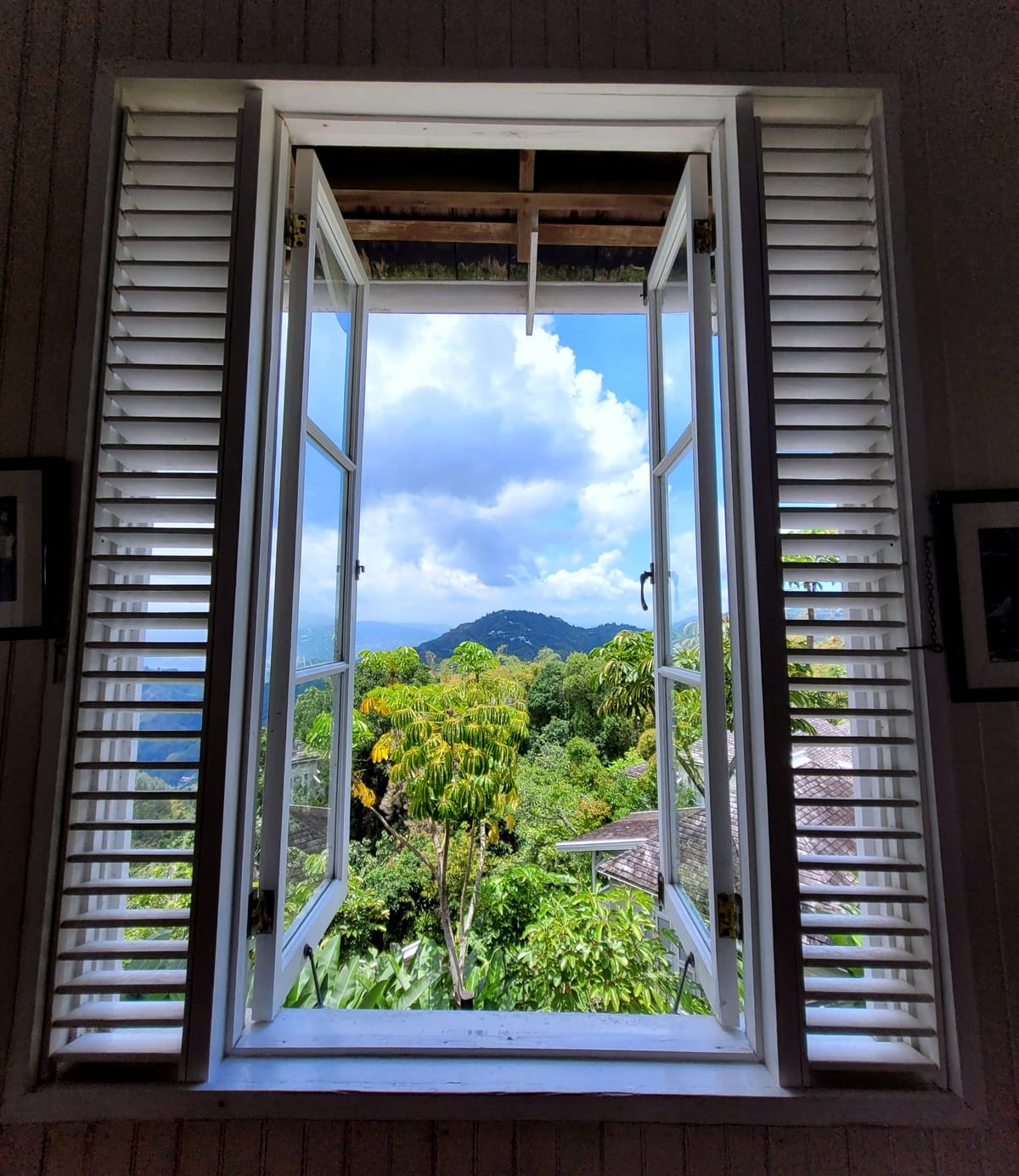 April 21, 2024 - Week 13