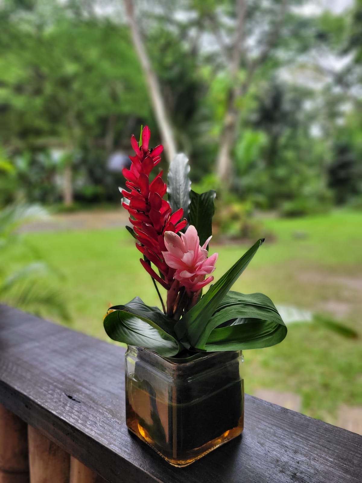 May 12, 2024 - Week 16