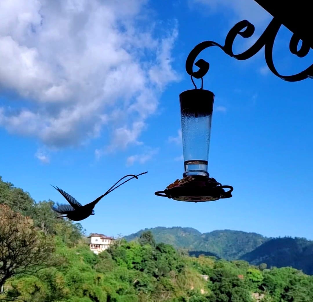 May 19, 2024 - Week 17