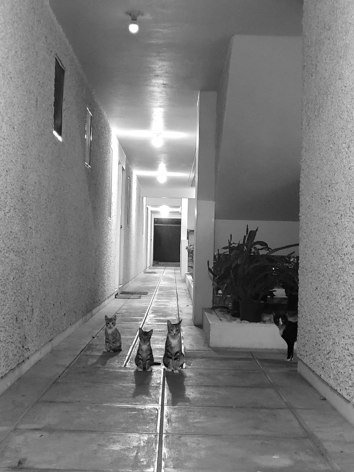 June 15, 2024 - Week 21