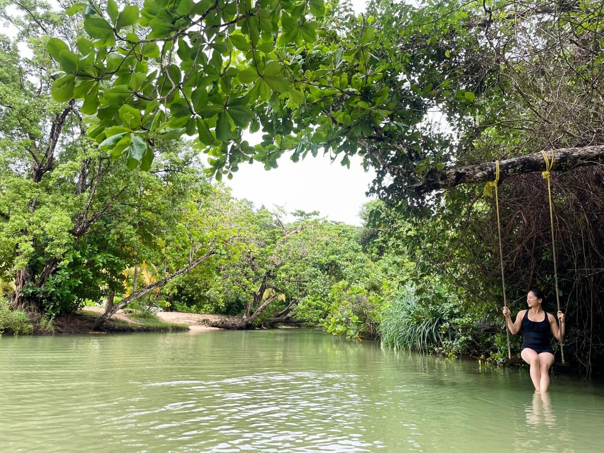 June 10, 2024 - Week 20