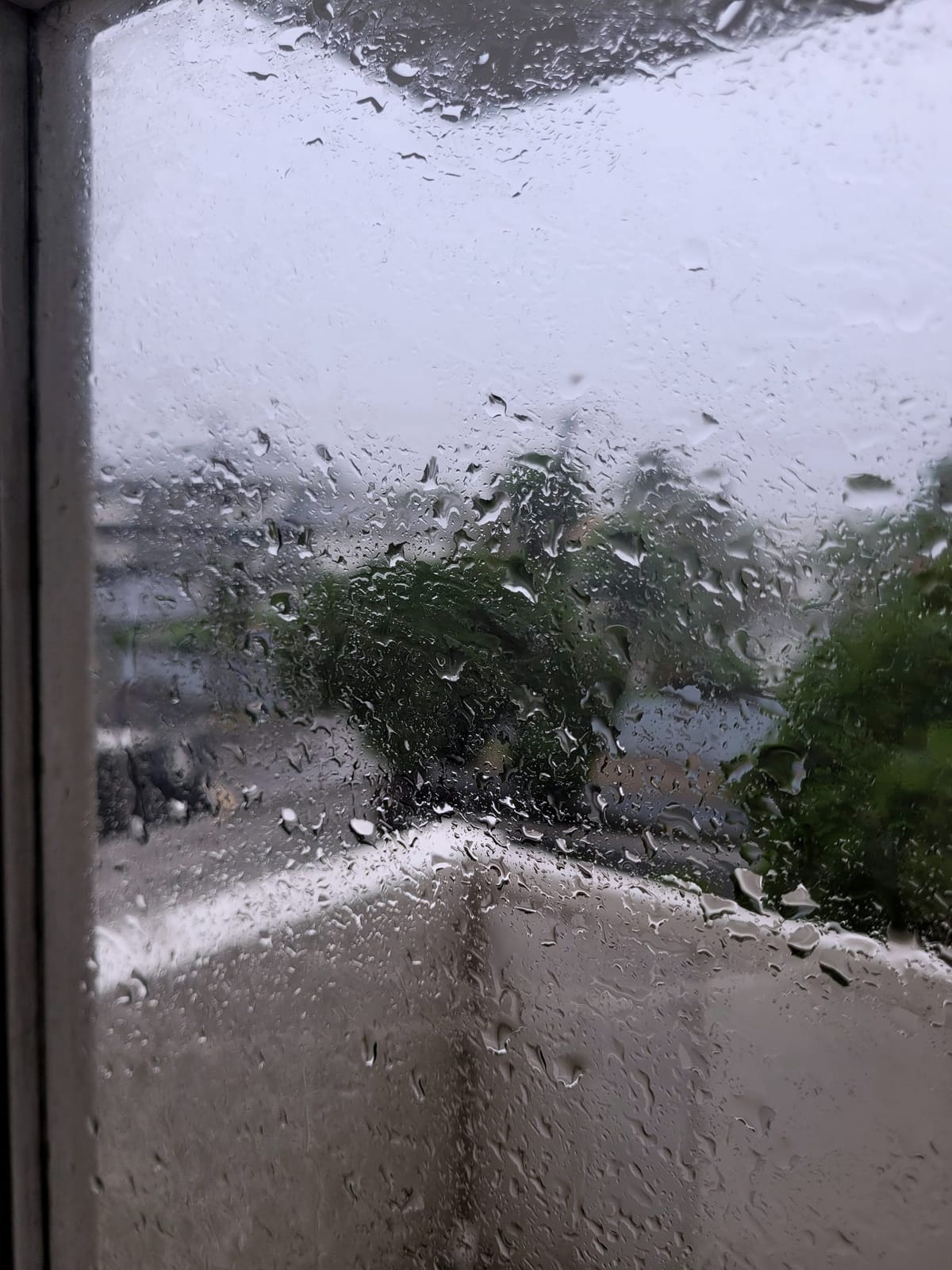 July 4, 2024 - Week 23 & 24