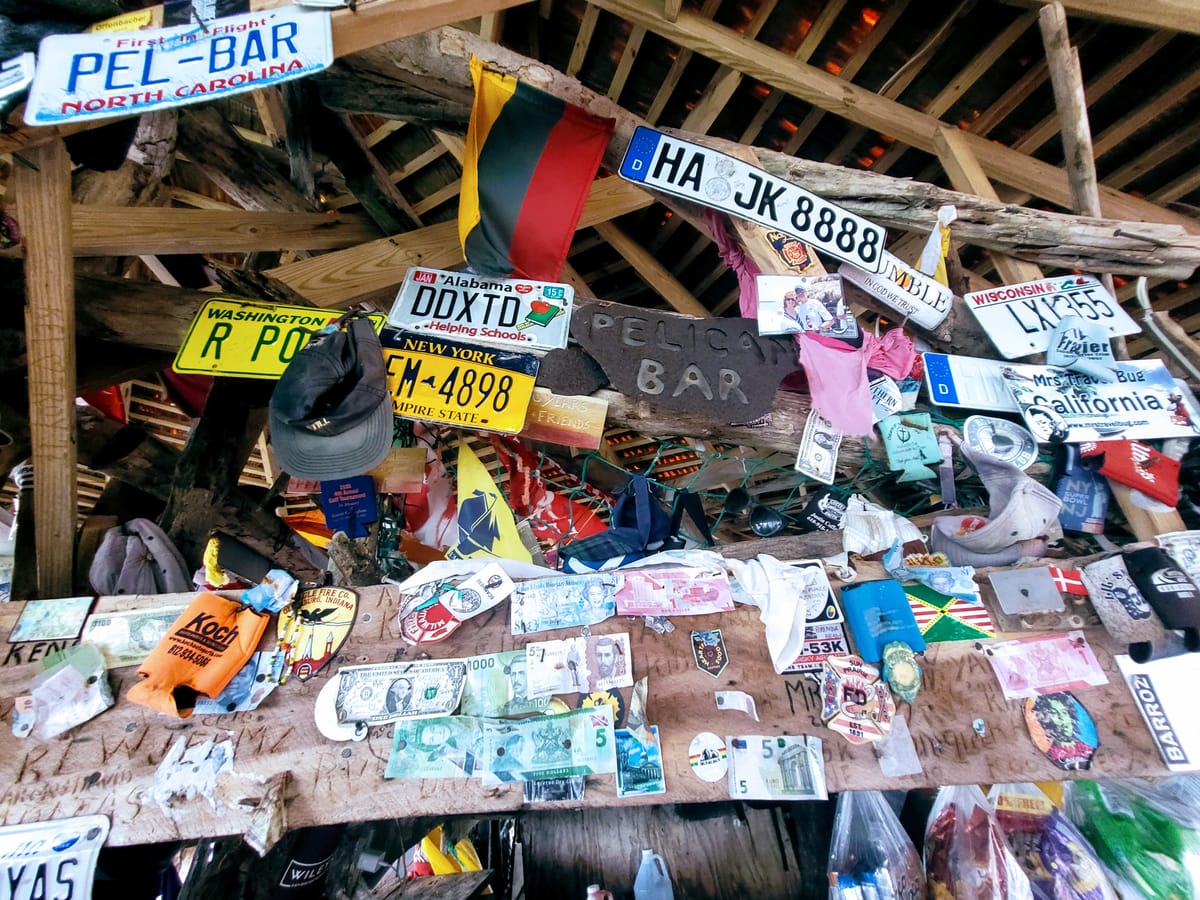 August 28, 2024 - Week 31