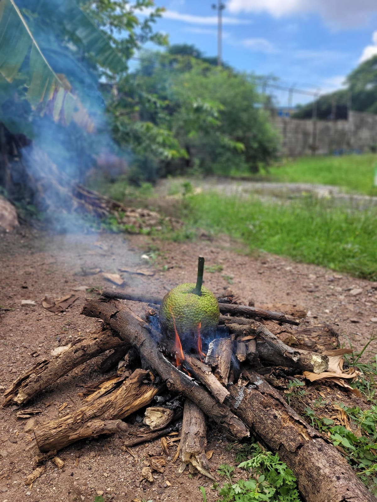 September 8, 2024 - Week 33