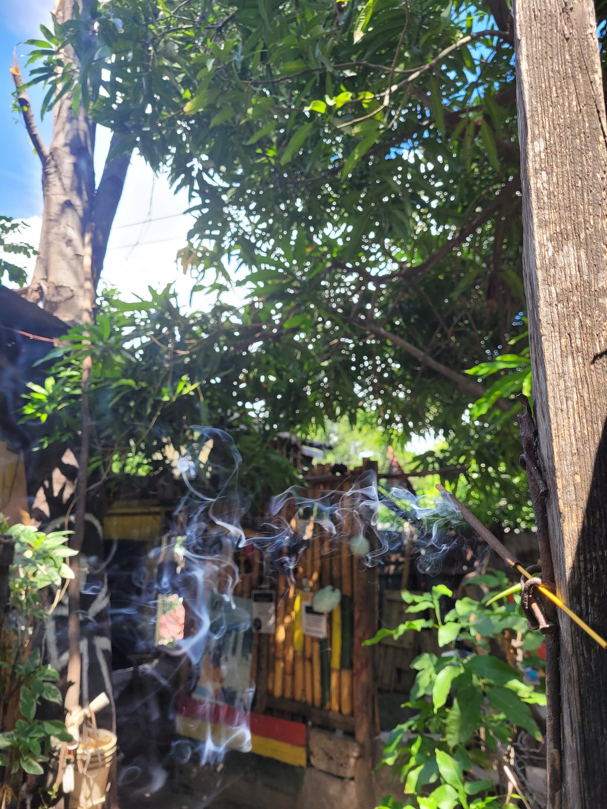 September 14, 2024- Week 34