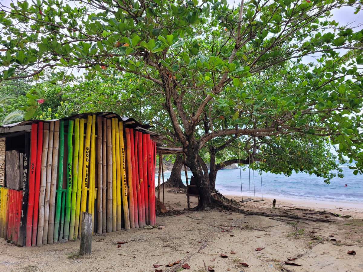 October 27, 2024 - Week 40