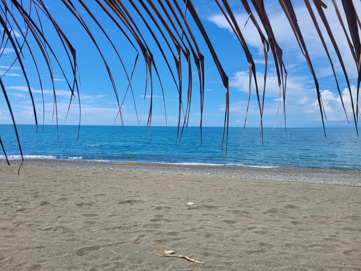 November 11, 2024 - Week 42