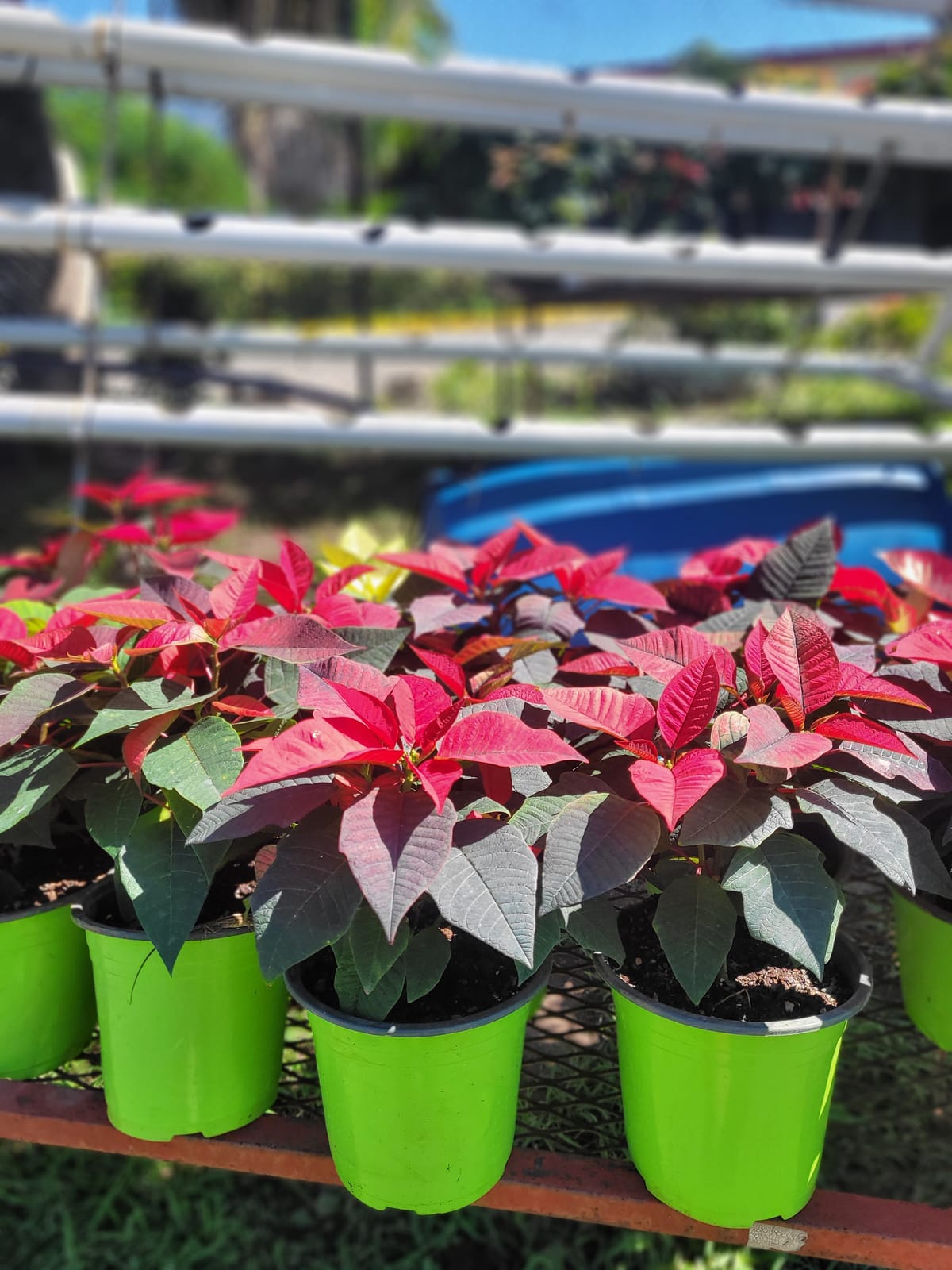 November 24, 2024 - Week 44