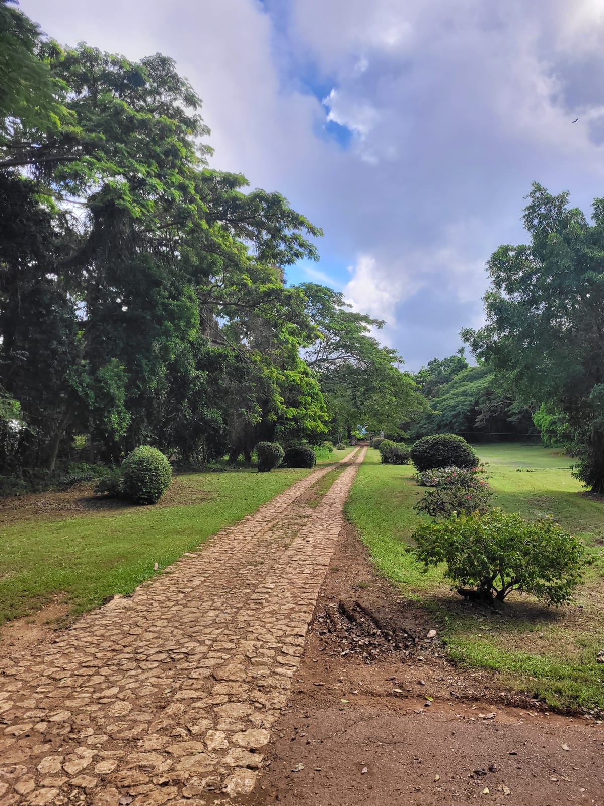 December 11, 2024 - Week 46