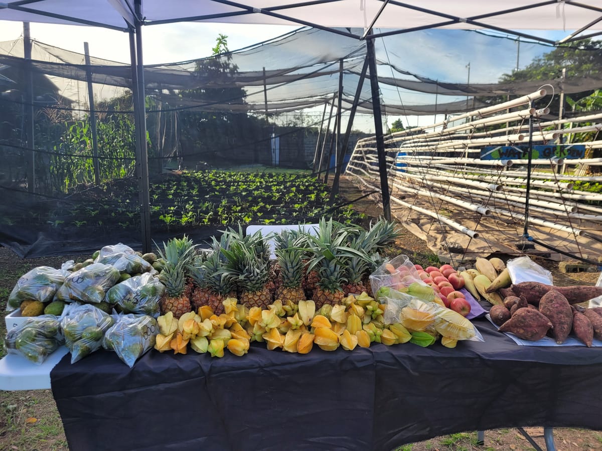 December 22, 2024 - Week 48