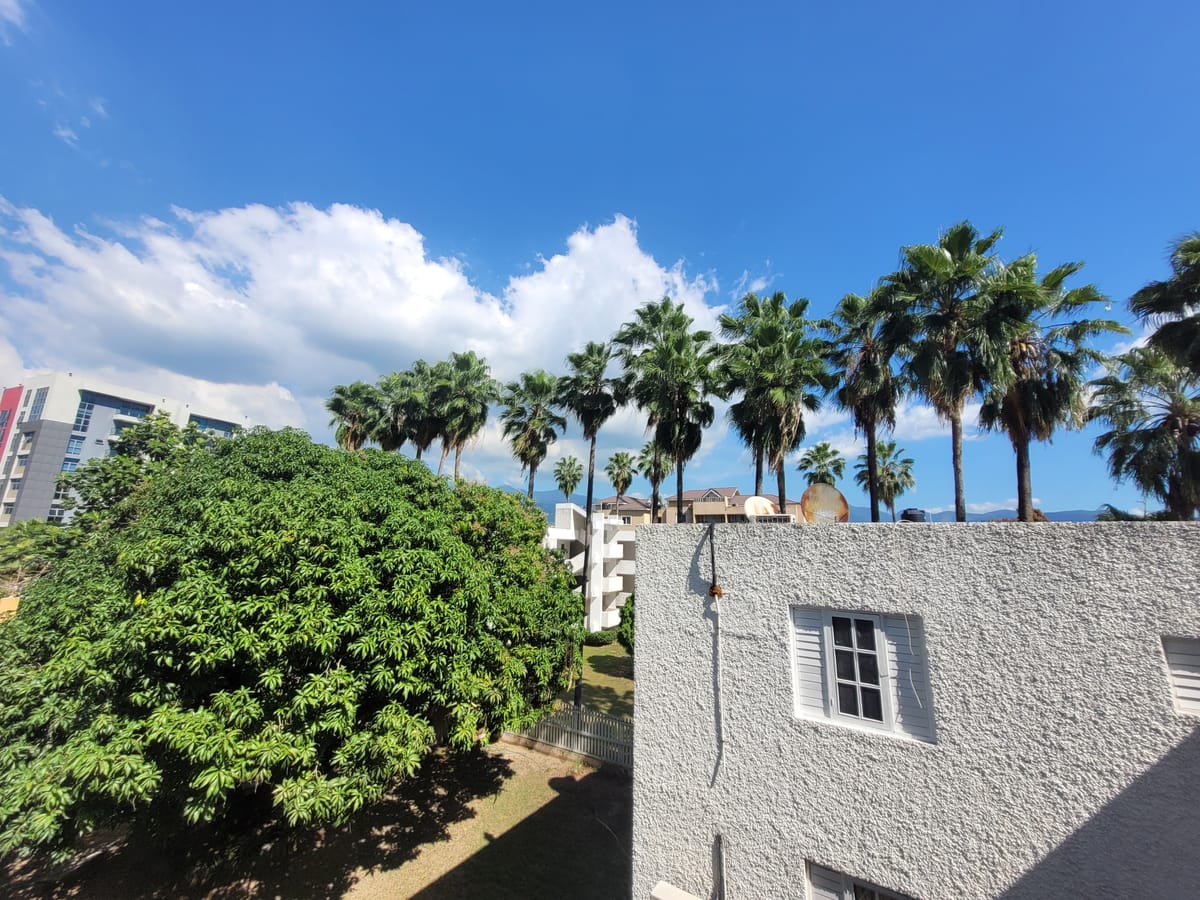 January 21, 2025 - Day 366